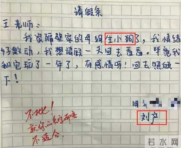 学生请假条文笔不凡，老师爽快批假，网友直呼：这孩子太有才了