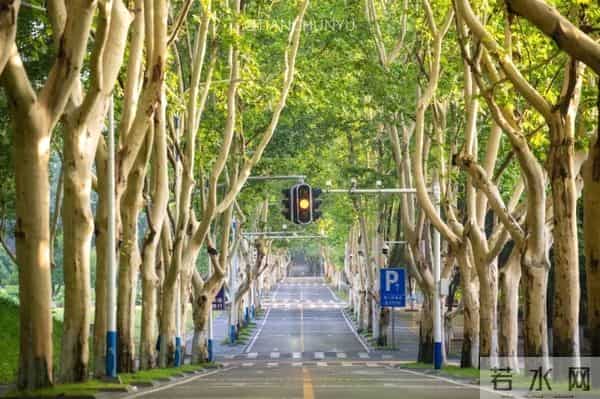 【24考研】提前面试:英文口语自我介绍模板