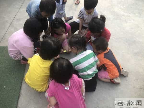 在困境中挣扎的学前教育力量,民办幼儿园何去何从