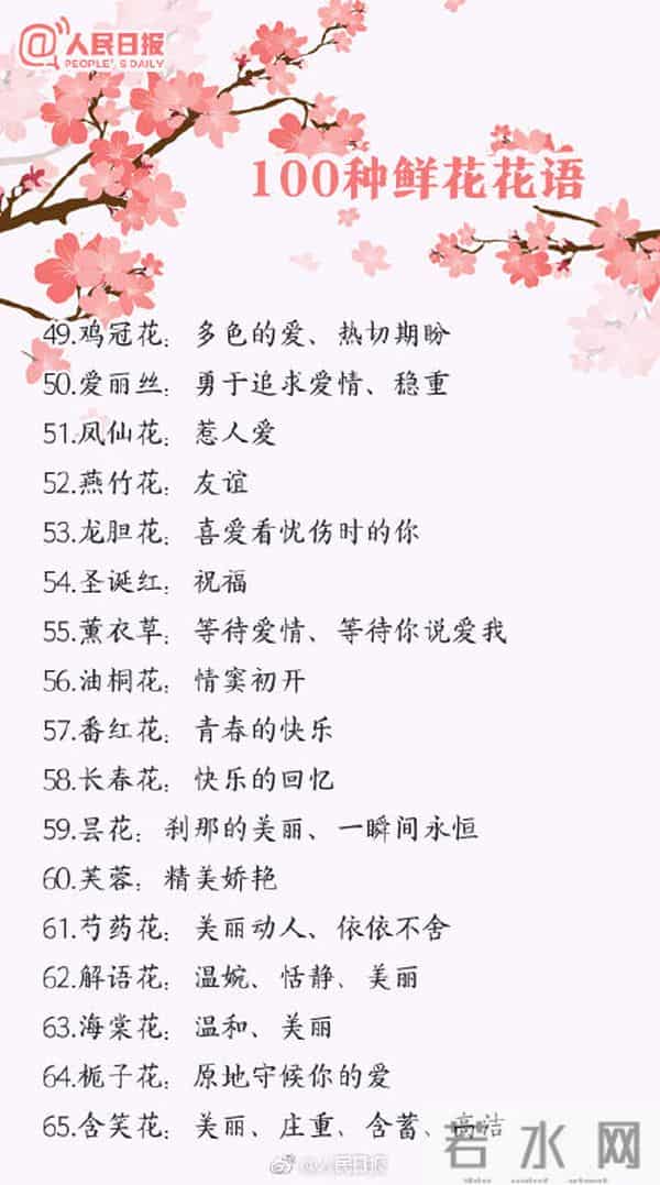 100种花的花语,收藏吧