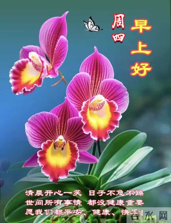 每日100句吉祥祝福语,最美的问候语大全,祝福朋友们快乐吉祥