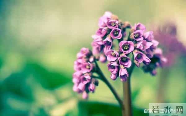 王和尚荐诗（词）评诗（词）