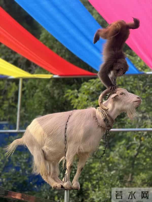 这个国庆来济宁,旅游景区宠客宝藏攻略来袭