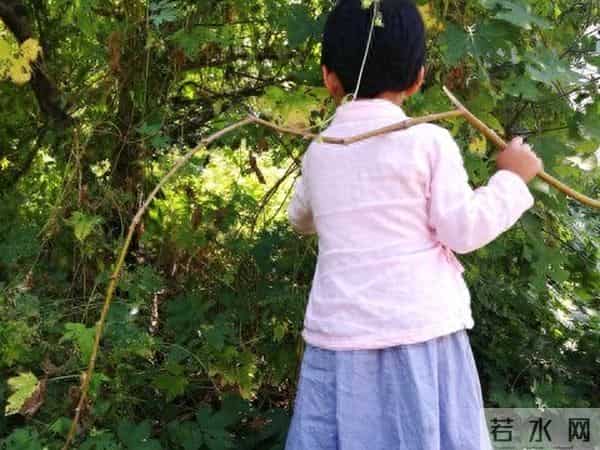 六年级学霸作文刷屏:我的理想是睡够8小时