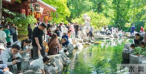 为人生蓄力，泉水叮咚是最动听的毕业伴奏曲