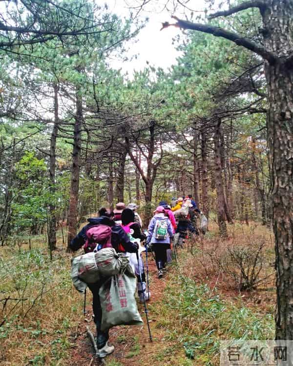 一年从山上背下300多麻袋垃圾!80后程序员和小伙伴们的另类年终述职报告