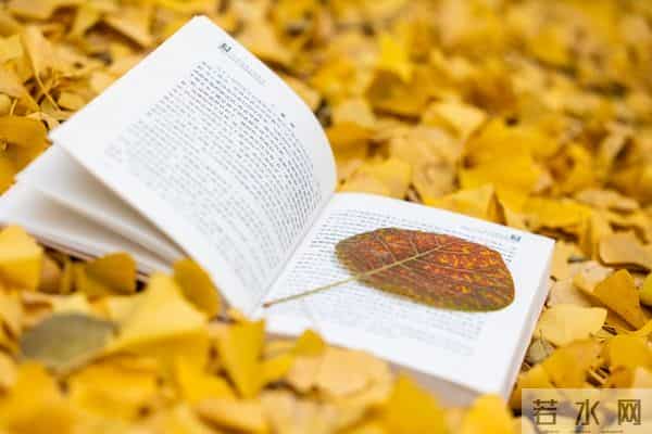 英语美文-50篇人民日报品质双语美文：中英对照，品读积累双丰收