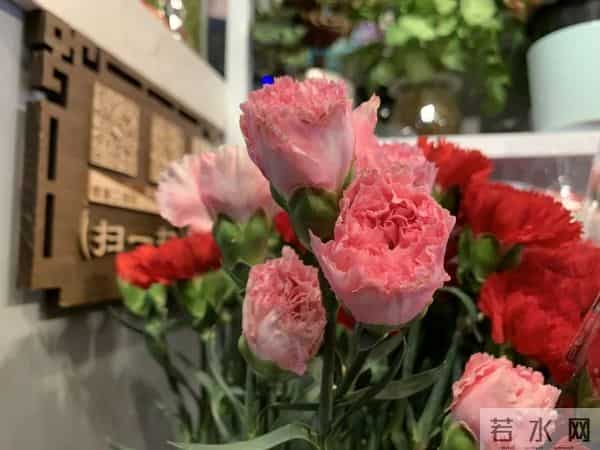 “女神节”你送花了吗？鲜花中的“顶流”就是它