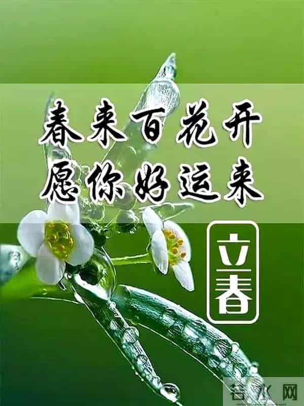 正月初六最精彩拜年祝福语初六逢立春,欢乐满乾坤,万事加倍顺