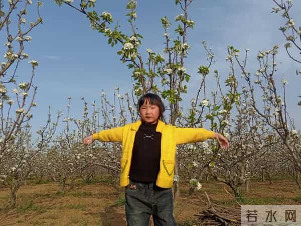 三年级日记之2025年国庆节游记和生活记录三则300字