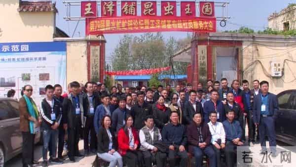 创业养殖蜣螂（屎壳郎