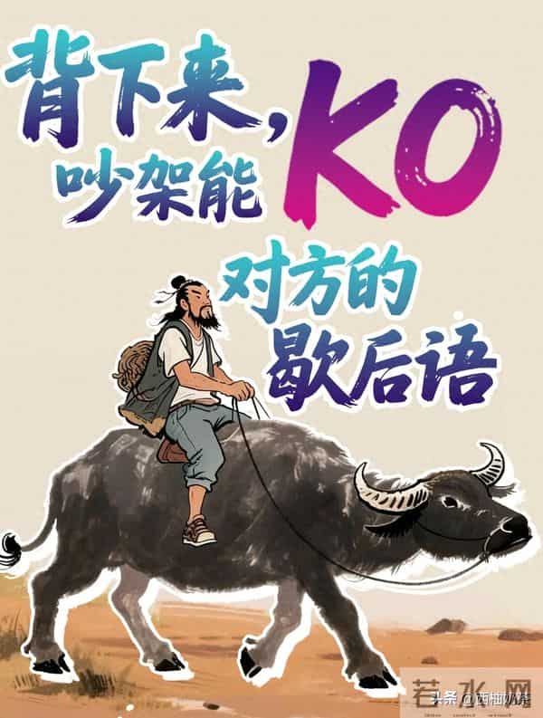 背下来，歇后语不脏，骂人超强!