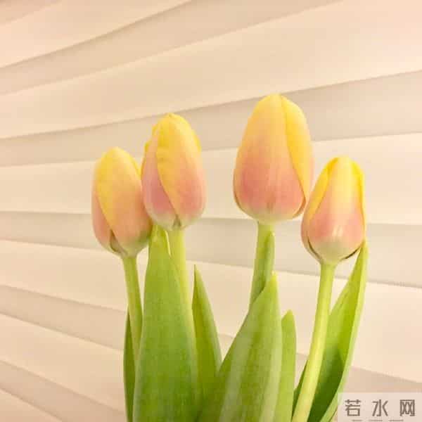 适合发朋友圈的平安夜祝福语，温暖走心，节日快乐