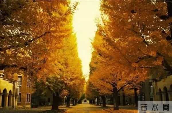 教师节｜正是这些老师教的歌撑起了我们的童年