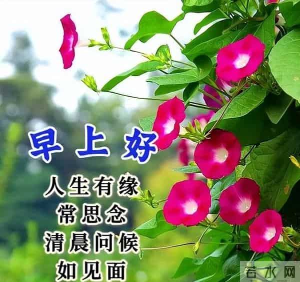非常暖心的唯美早晨寄语，早上好祝福金句，愿喜乐平安如意