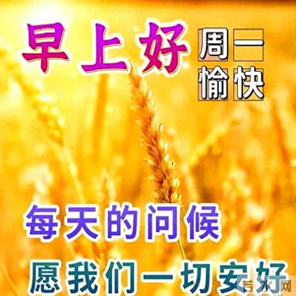 最新早上好问候语简短精华，精辟早安友谊祝福，愿你高兴高兴天天
