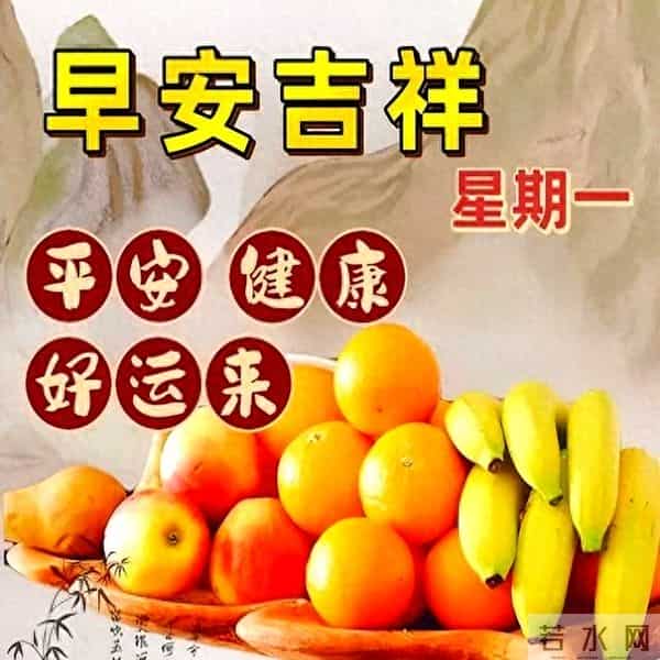 2024最新早上好金句,暖心温馨的早安祝福语精选,愿你幸福吉祥