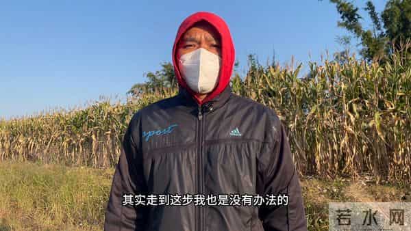 农村青年如何利用互联网赚取生活费用?