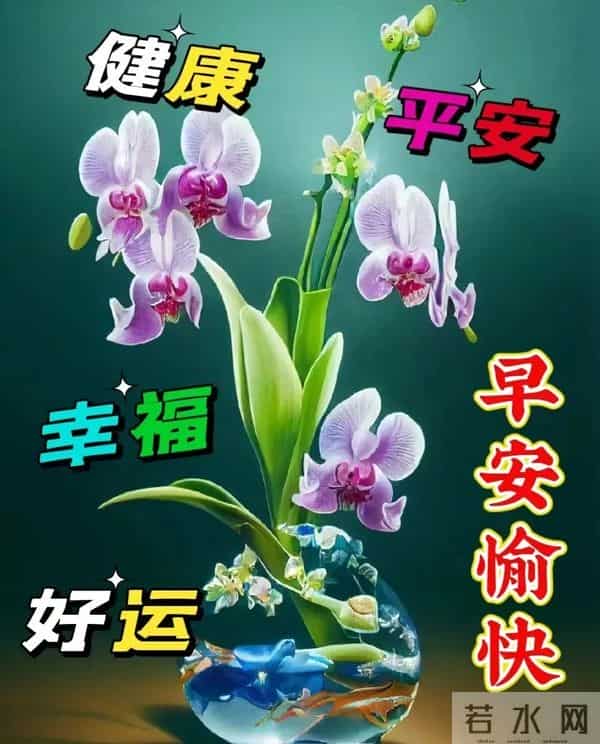 每日100句吉祥祝福语,最美的问候语大全,祝福朋友们快乐吉祥