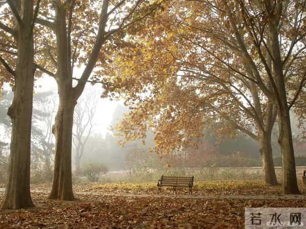 回忆童年类作文怎么写？看语文老师给你写一篇范文