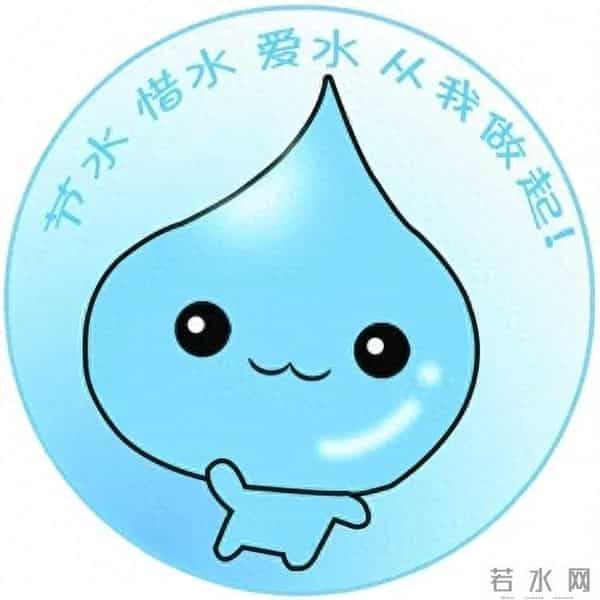 我儿子小学六年级他写的一篇作文《行动起来,保护水资源》