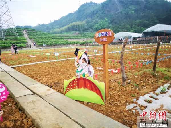 “五一”见闻：田园“农事”刮起旅游新风