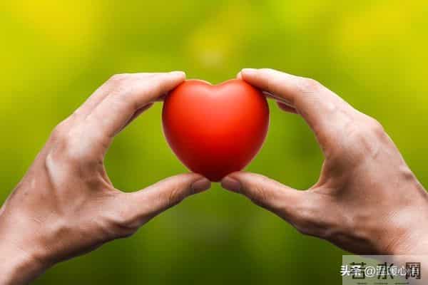 爱在心中,温暖在行动:真实感人的情感故事集锦