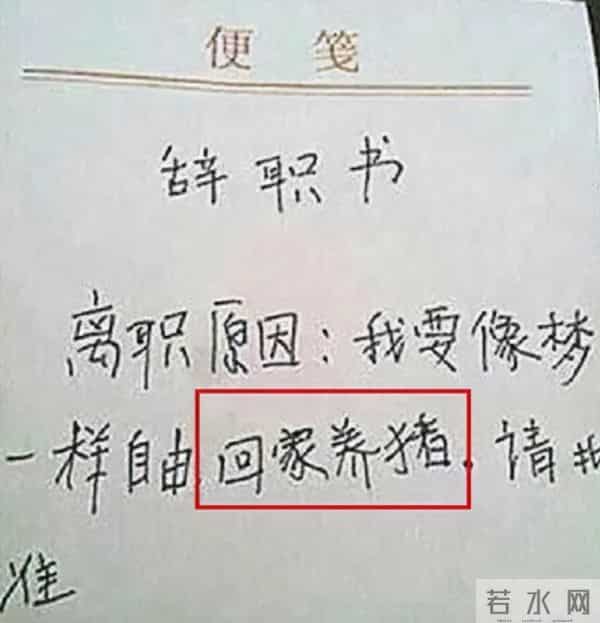 悄悄地储存一些优秀的辞职范文，万一用上了呢