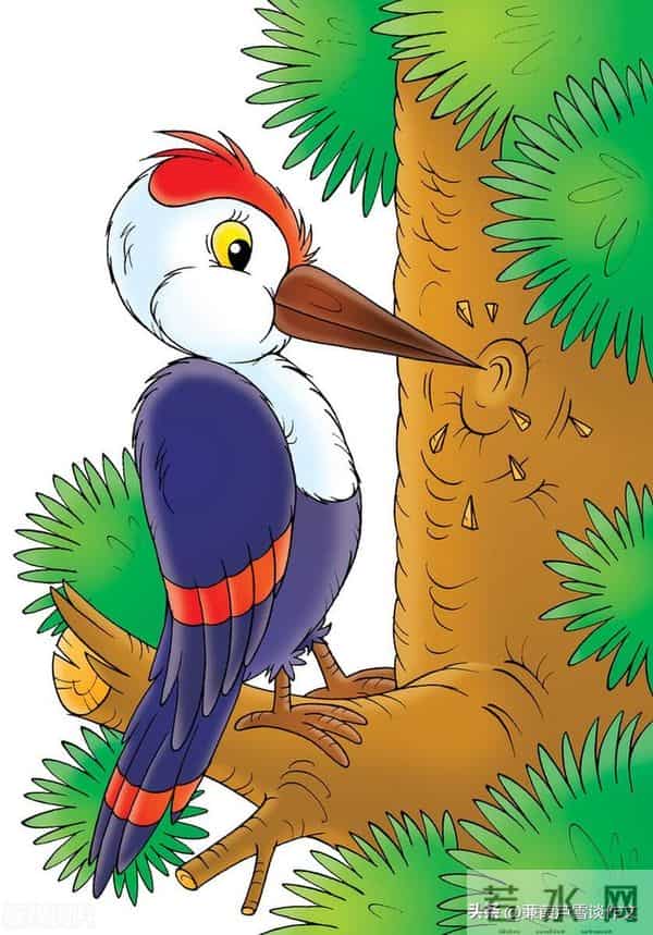 草虫的世界如此奇妙①——阿宝老师的“作文经”(三三四)