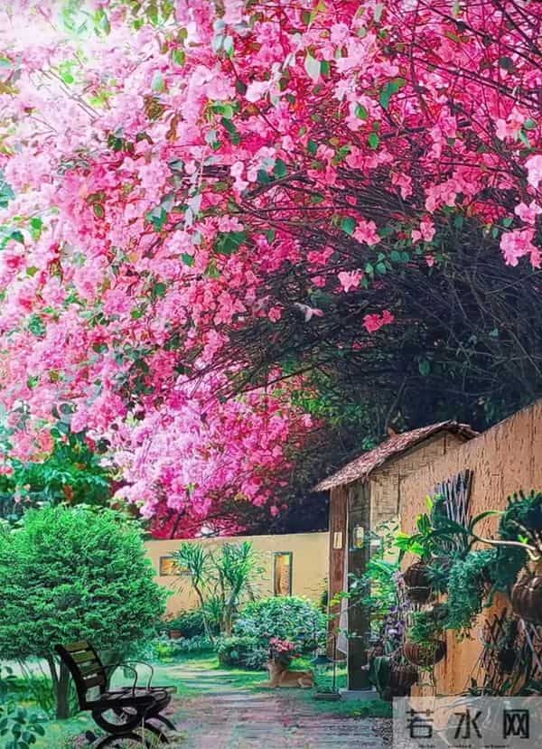 于无声处听惊雷，此时无声胜有声