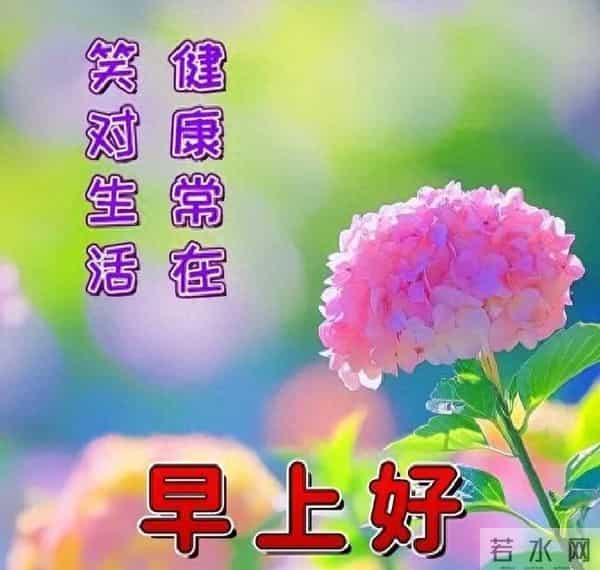 早上好温馨问候语大全,精选早安祝福短语,愿心情始终美好