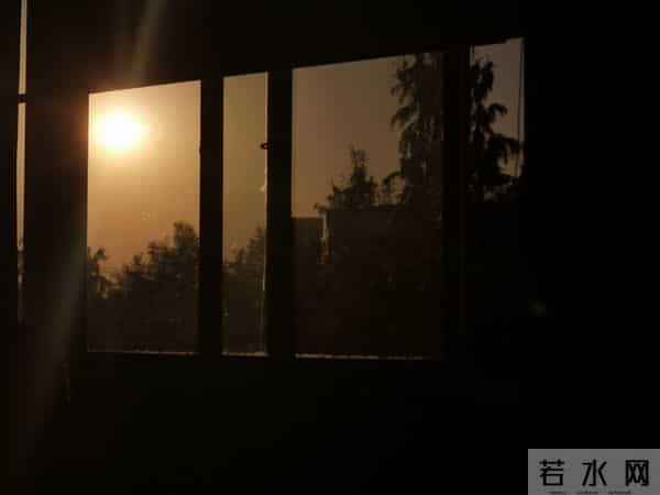 六年级上册道德与法治教学总结