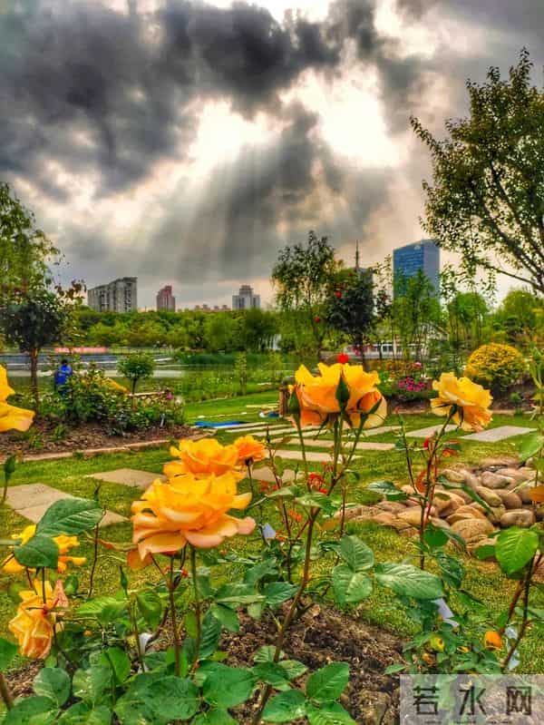 莘庄梅园旁藏了个高颜值网红打卡地，你去过了么？