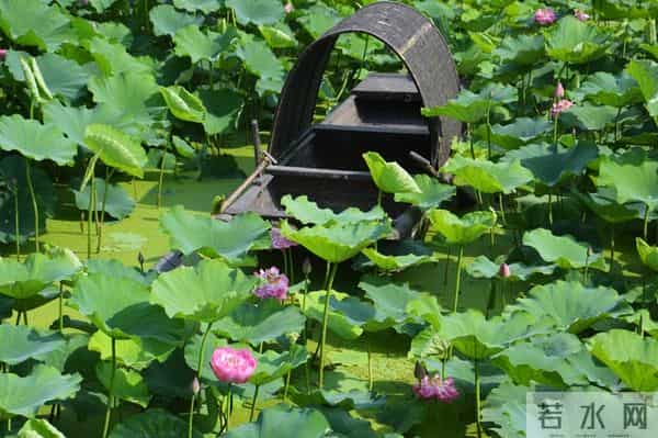 古代中国的土地共享大法,比现代合作社还潮