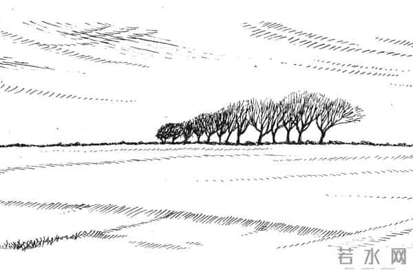 阅读一棵树,从树枝和风开始|植树节