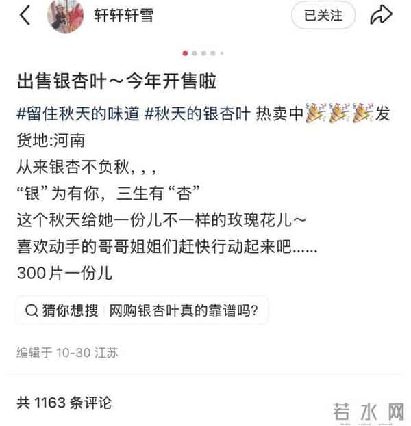 100片20元银杏叶卖＂爆＂了 女子全家捡叶子卖出数万片