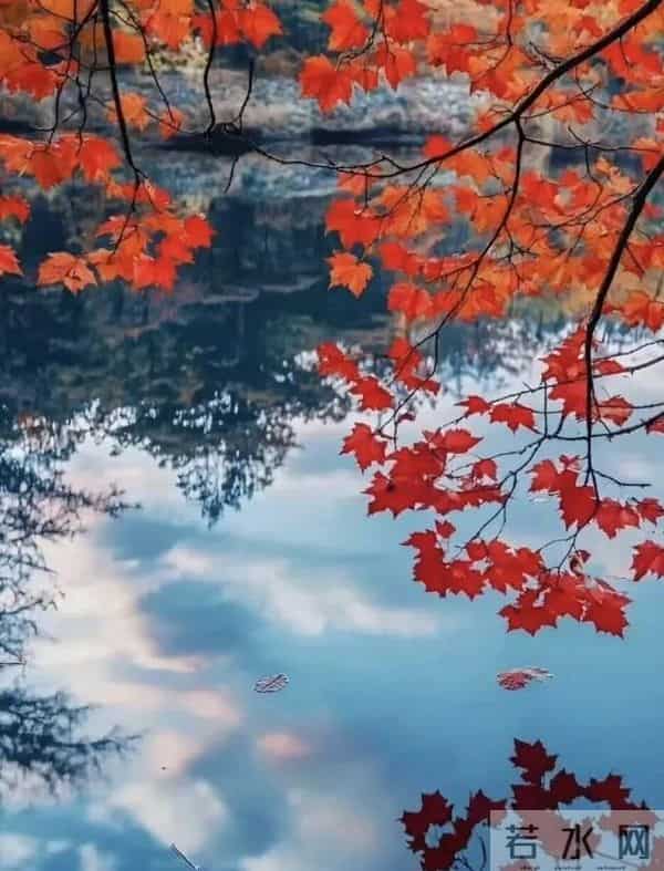 30句,霸气十足,又拽又豪横的句子,学到一句气场也很强大