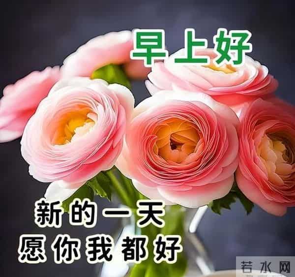 非常暖心的唯美早晨寄语，早上好祝福金句，愿喜乐平安如意