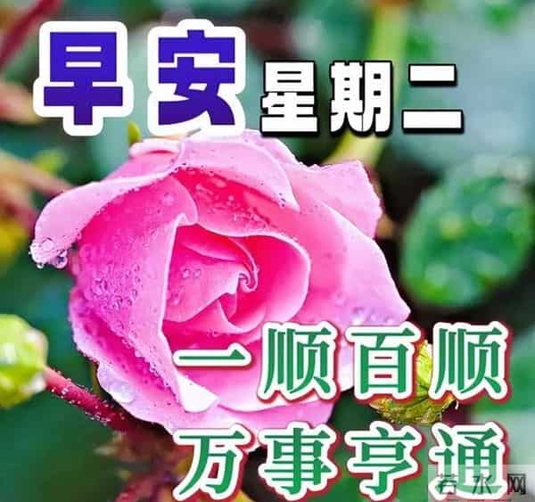 非常暖心的唯美早晨寄语，早上好祝福金句，愿喜乐平安如意