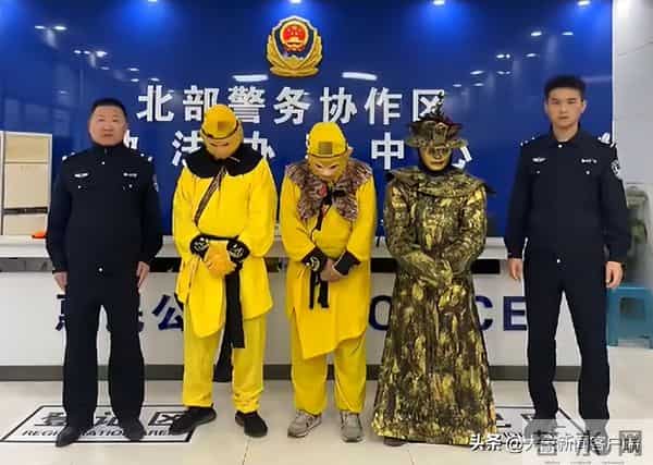 五一过半，趣事一箩筐，不仅人堵了骆驼也堵了……