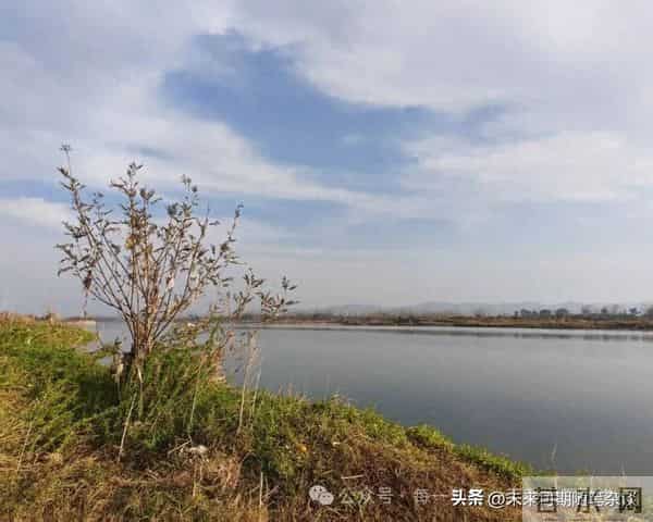 渡向中流,重构生命的航程