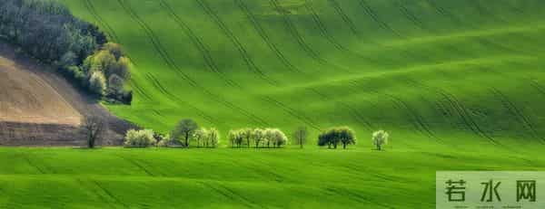 六年级学霸作文刷屏:我的理想是睡够8小时