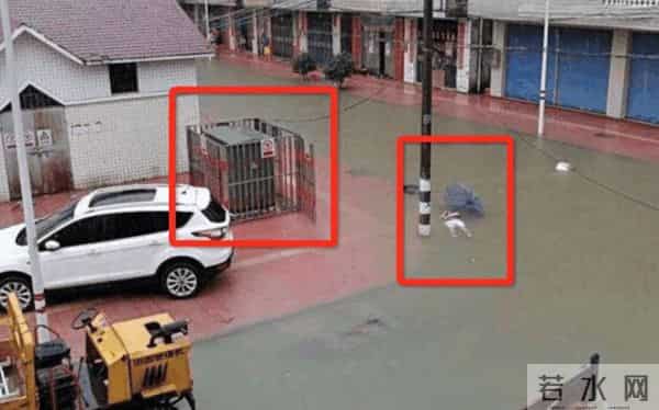 灾难与自救，幸存与遇难，这12个案例值得一看！