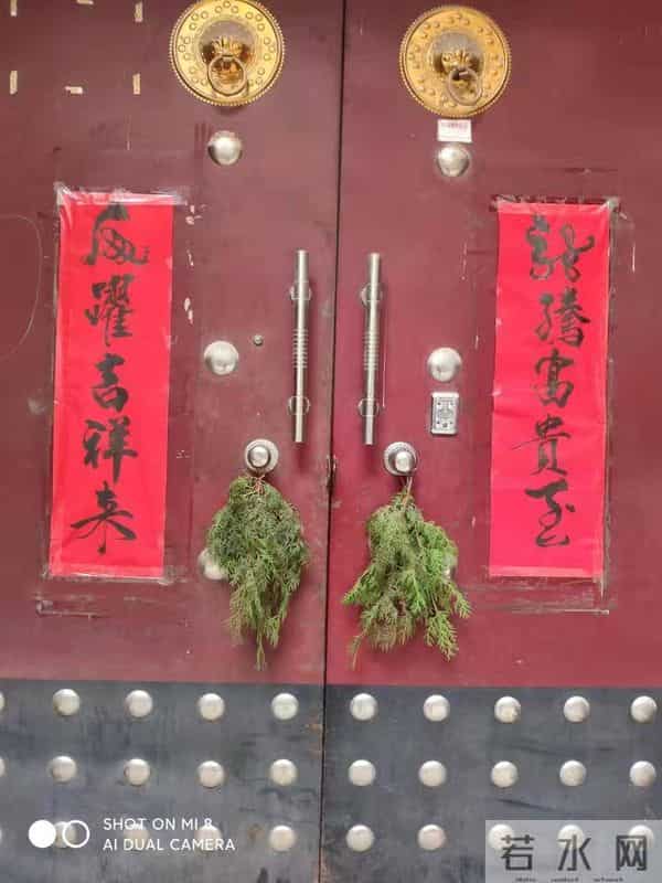 虎风虎韵齐鲁行 - 虎年谈虎，如虎添翼