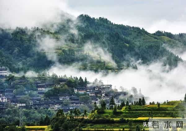 社区居家养老升级!60+老人不出门也能享专业照护