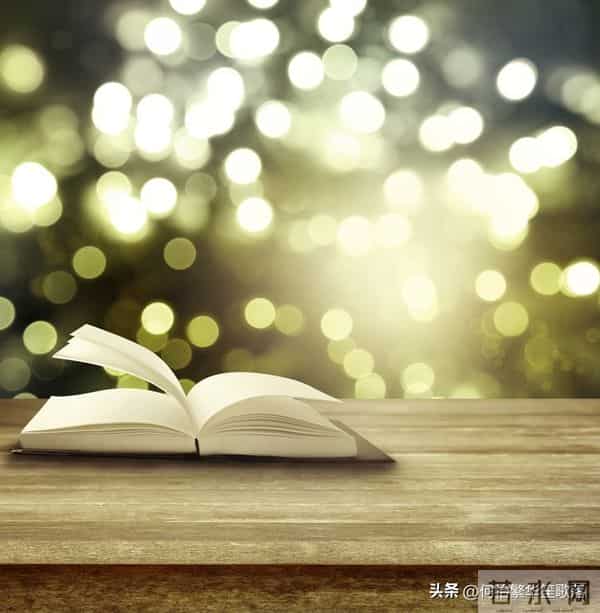 《读书的快乐》演讲稿600字(六年级口语交际)