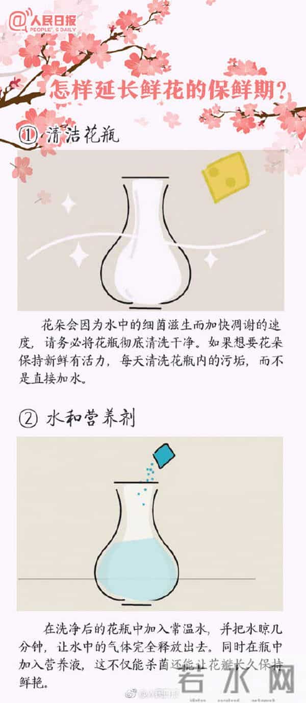 100种花的花语,收藏吧