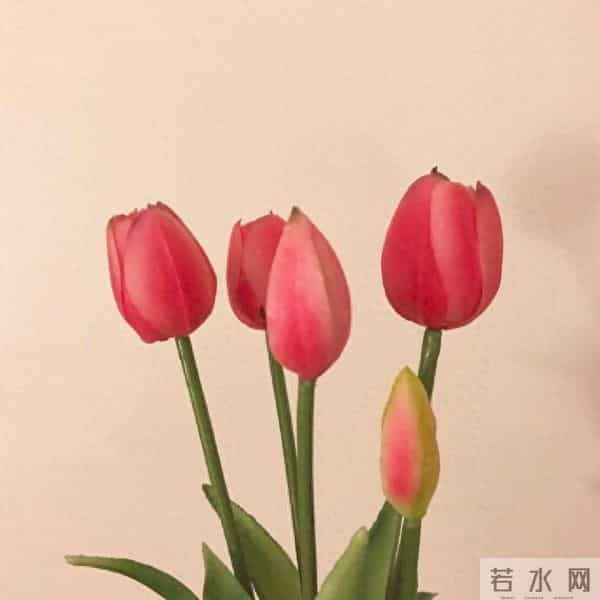 适合发朋友圈的平安夜祝福语，温暖走心，节日快乐