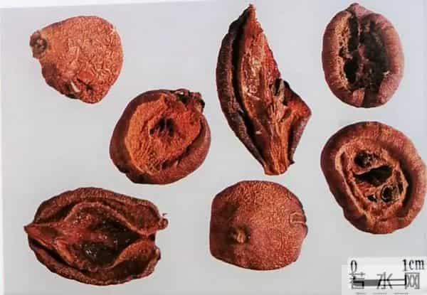 木瓜居然还是一味中药,有啥功效进来瞧瞧!