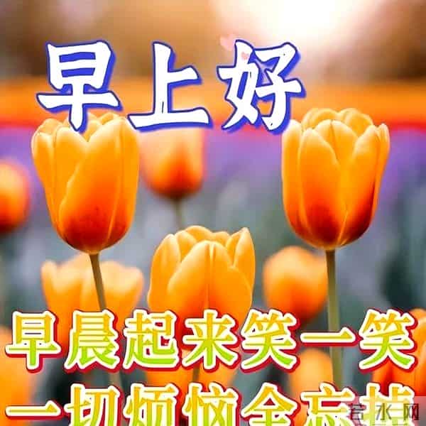 2024最新早上好金句,暖心温馨的早安祝福语精选,愿你幸福吉祥